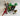 Playmobil Inka-Tempel und T-Rex
