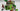 Playmobil Alm / Ziegenfarm - 1