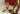 Playmobil Arche Noah - 4