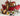 Playmobil Arche Noah - 1