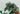 Playmobil Dinos: T - Rex mit Velociraptor - 2