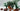 Playmobil Dinos: T - Rex mit Velociraptor - 3