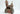 Playmobil Drachenfestung - 3
