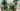 Playmobil Feenquelle - 1