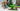 Playmobil Feenquelle - 3