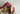 Playmobil Forsthaus - 5