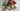 Playmobil Forsthaus - 2