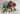 Playmobil Forsthaus - 2