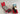 Playmobil Gigant Tieflader-4