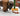 Playmobil Indianer auf der Bisonjagd. - 2