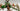 Playmobil Kängurugehege - 3