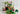 Playmobil Magischer Feenwald - 5