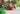 Playmobil Magischer Feenwald - 3