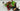 Playmobil Piraten - Schatzinsel mit Skelett - 4