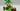 Playmobil Piraten - Schatzinsel mit Skelett - 2