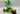 Playmobil Piraten - Schatzinsel mit Skelett - 2