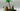Playmobil Piraten - Schatzinsel mit Skelett - 3