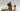 Playmobil Reitschule mit Ponys - 2