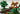 Playmobil Safari - 3