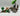 Playmobil Safari - 1