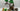 Playmobil Safari - 1