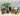 Playmobil Streichelzoo Superset - 1