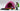 Playmobil Trekkingzelt - 1