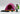 Playmobil Trekkingzelt - 1