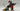 Playmobil Turnier des Löwenritters - 2