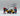 Playmobil TV - Team mit Motorrad - 1