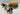 Playmobil Vintage Western Planwagen - 3