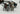 Playmobil Wolfsritter Katapult mit Wolfsrudel - 4