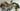 Playmobil Zoo - 7