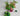 Playmobil Magischer Feenwald