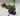 Playmobil Piraten-Schatzinsel mit Skelett