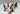 Playmobil 4 x Indianer mit Kanu und Pferd - 3