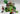 Playmobil Alm / Ziegenfarm - 1