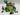 Playmobil Alm / Ziegenfarm - 1