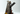 Playmobil Angriffsturm Drachenschlange - 1