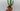 Playmobil Bandit und Sheriff - 3