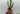 Playmobil Bandit und Sheriff - 3