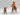 Playmobil Cowboy mit einem Bullen - 1