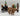 Playmobil Cowboys und Viehdiebe - 1