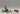 Playmobil Der Fuchs und der Gänsehüter - 1