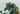 Playmobil Dinos: T - Rex mit Velociraptor - 2
