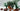 Playmobil Dinos: T - Rex mit Velociraptor - 3
