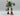 Playmobil E - Rangers Collectobot - 1