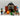 Playmobil Fachwerkscheune - 2