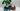 Playmobil Forscherteam mit Triceratops - 1