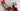 Playmobil Gigant Tieflader-4